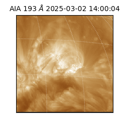saia - 2025-03-02T14:00:04.843000