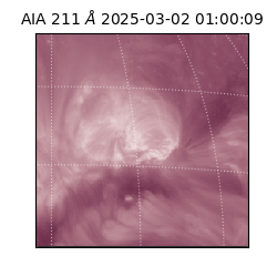 saia - 2025-03-02T01:00:09.626000