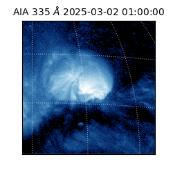 saia - 2025-03-02T01:00:00.632000