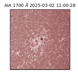 saia - 2025-03-02T11:00:28.721000