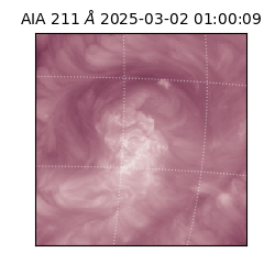 saia - 2025-03-02T01:00:09.626000