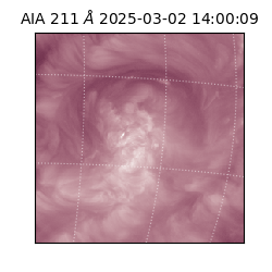 saia - 2025-03-02T14:00:09.633000