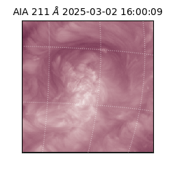 saia - 2025-03-02T16:00:09.634000