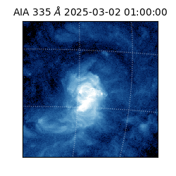saia - 2025-03-02T01:00:00.632000