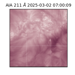 saia - 2025-03-02T07:00:09.626000