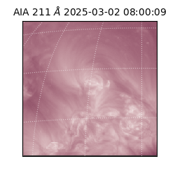 saia - 2025-03-02T08:00:09.632000
