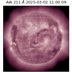 saia - 2025-03-02T11:00:09.632000