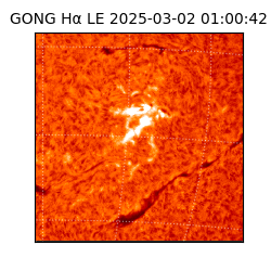 gong - 2025-03-02T01:00:42