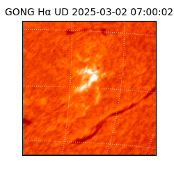 gong - 2025-03-02T07:00:02