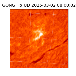gong - 2025-03-02T08:00:02