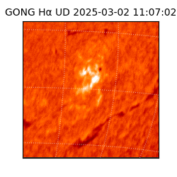gong - 2025-03-02T11:07:02