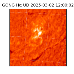 gong - 2025-03-02T12:00:02