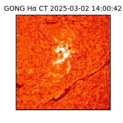 gong - 2025-03-02T14:00:42