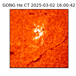 gong - 2025-03-02T16:00:42