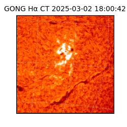 gong - 2025-03-02T18:00:42