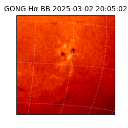gong - 2025-03-02T20:05:02