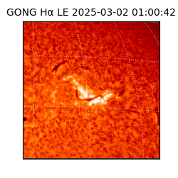 gong - 2025-03-02T01:00:42