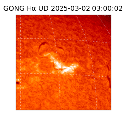 gong - 2025-03-02T03:00:02