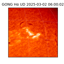 gong - 2025-03-02T06:00:02