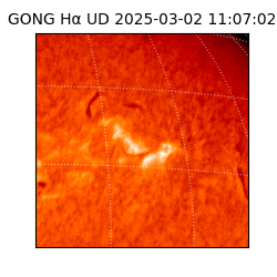 gong - 2025-03-02T11:07:02