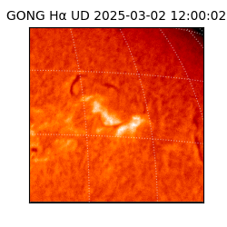 gong - 2025-03-02T12:00:02