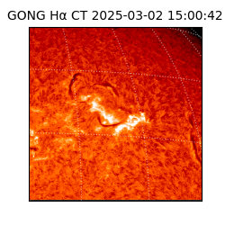 gong - 2025-03-02T15:00:42