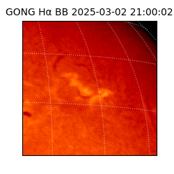 gong - 2025-03-02T21:00:02
