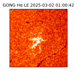 gong - 2025-03-02T01:00:42