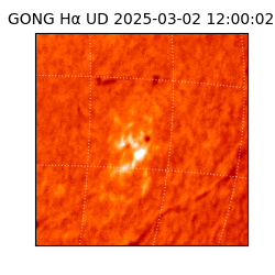 gong - 2025-03-02T12:00:02