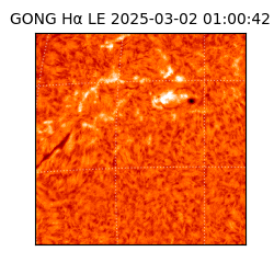 gong - 2025-03-02T01:00:42