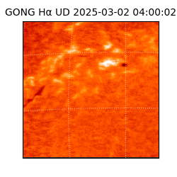 gong - 2025-03-02T04:00:02