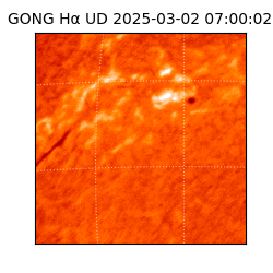 gong - 2025-03-02T07:00:02