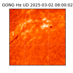 gong - 2025-03-02T08:00:02
