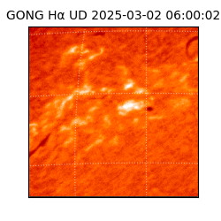 gong - 2025-03-02T06:00:02