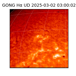 gong - 2025-03-02T03:00:02