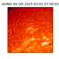 gong - 2025-03-02T07:00:02