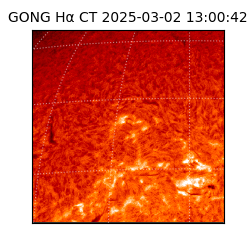 gong - 2025-03-02T13:00:42