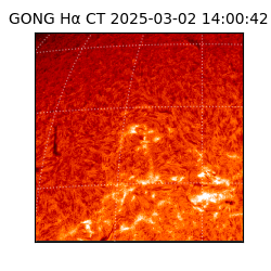 gong - 2025-03-02T14:00:42