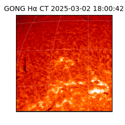 gong - 2025-03-02T18:00:42