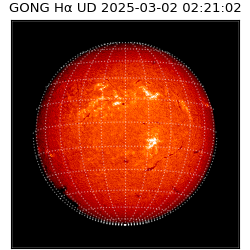 gong - 2025-03-02T02:21:02