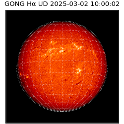 gong - 2025-03-02T10:00:02