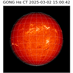 gong - 2025-03-02T15:00:42