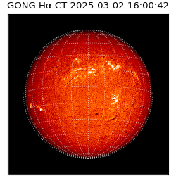 gong - 2025-03-02T16:00:42