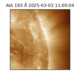 saia - 2025-03-03T11:00:04.843000