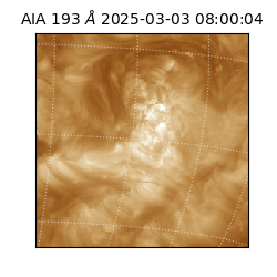saia - 2025-03-03T08:00:04.843000