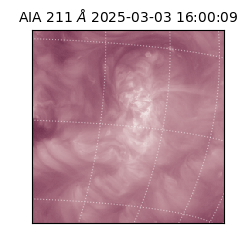 saia - 2025-03-03T16:00:09.626000
