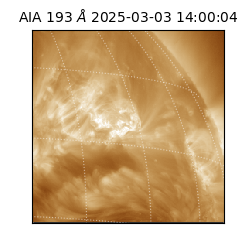 saia - 2025-03-03T14:00:04.846000
