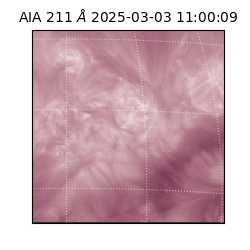 saia - 2025-03-03T11:00:09.630000