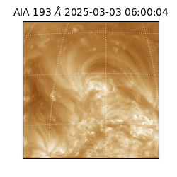saia - 2025-03-03T06:00:04.843000