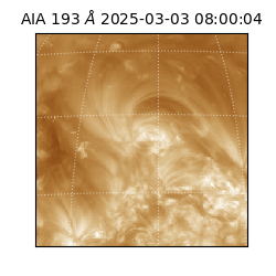 saia - 2025-03-03T08:00:04.843000